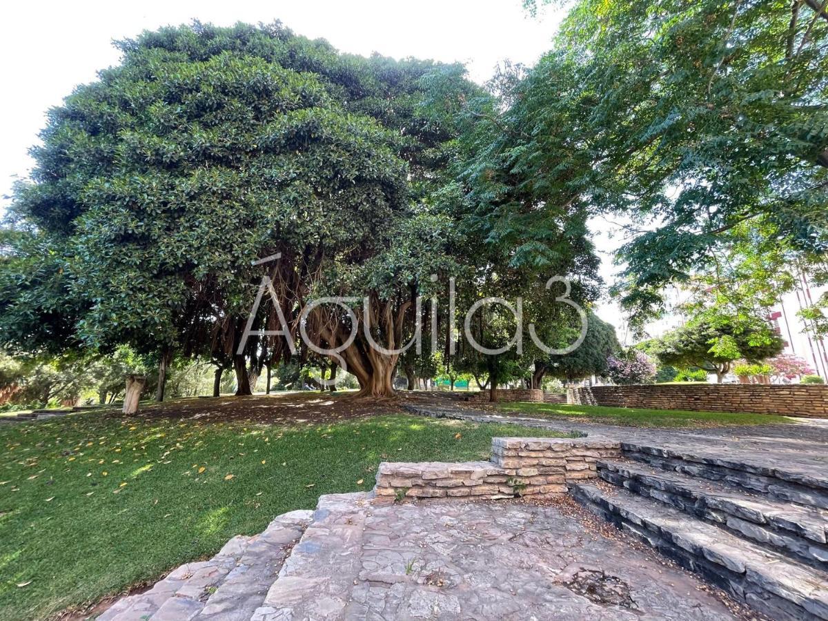 Appartement Estudio Aguila3 *