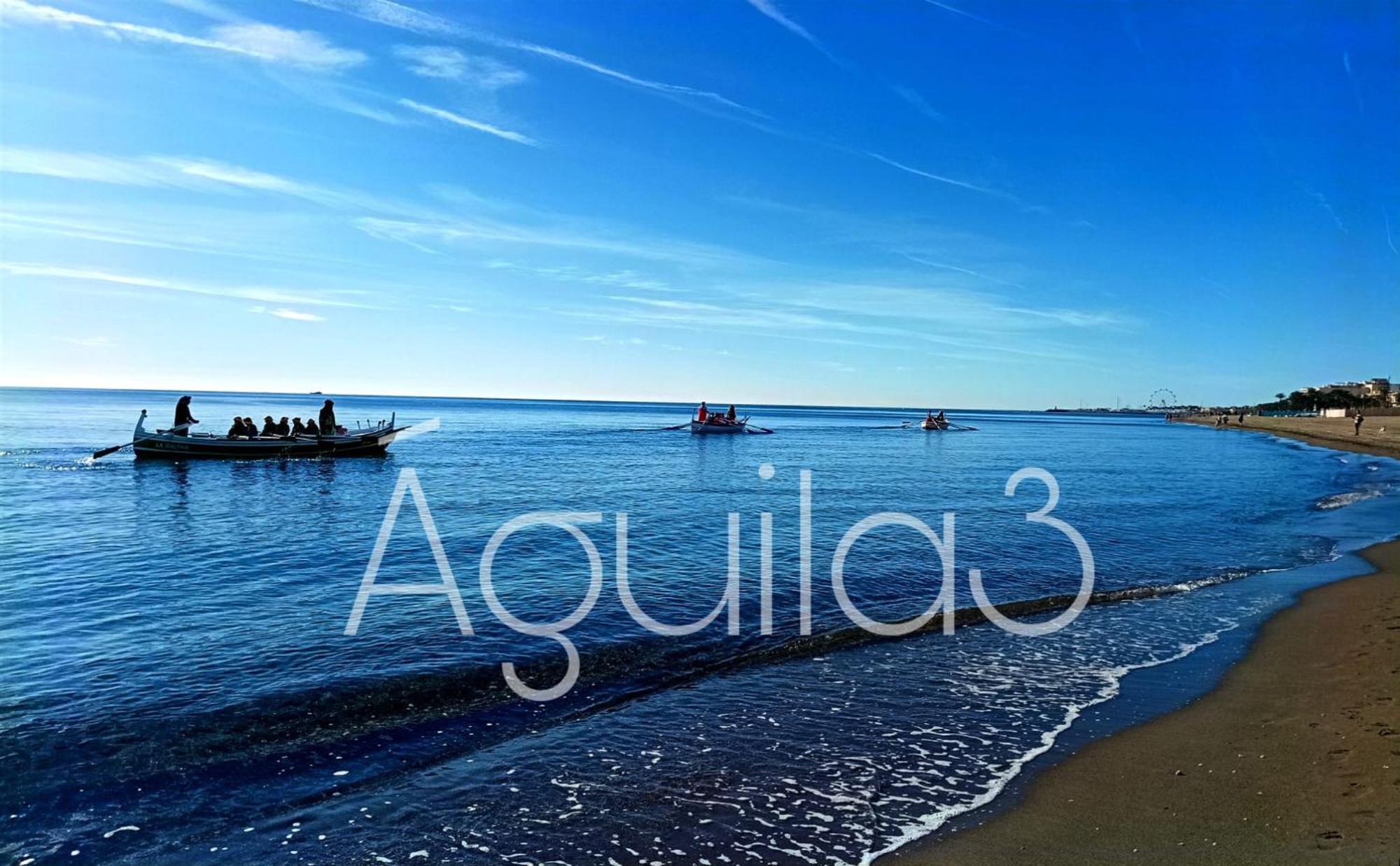 Estudio Aguila3